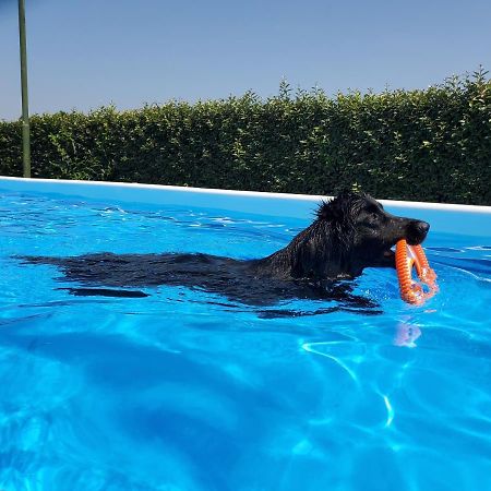 Agriturismo Delizia D'Este Francolino المظهر الخارجي الصورة