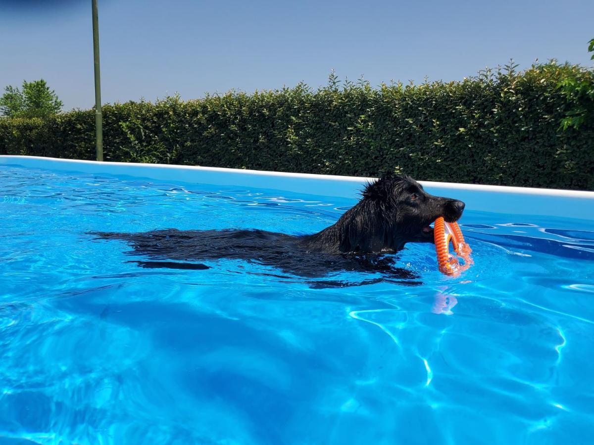 Agriturismo Delizia D'Este Francolino المظهر الخارجي الصورة